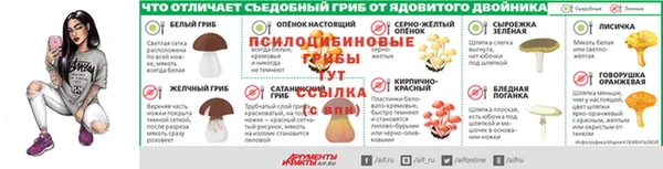 шишки Струнино