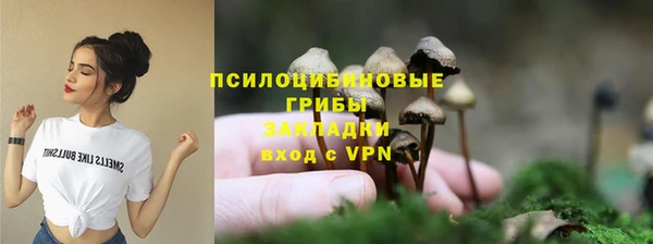 дурь Алексин
